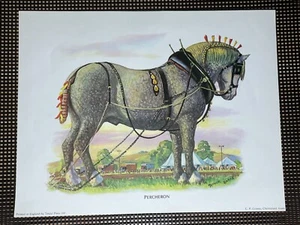 Vtg Dapple Grey Percheron Poster Painting Print Draft Horse Art Decor England - Picture 1 of 9