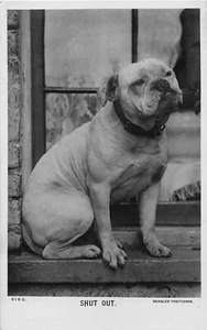 POSTCARD COMIC - BULLDOG THEME - SHUT OUT - Picture 1 of 2