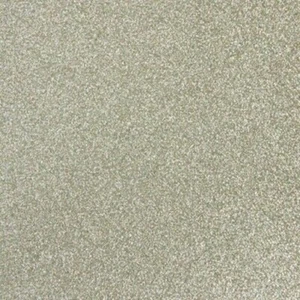 Paper Silver Iridescent Powder Sequins 30,5 CM 5 Headlights - Picture 1 of 1