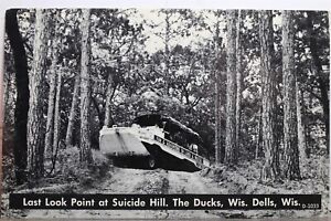 Wisconsin WI Dells Ducks Suicide Hill Last Look Point Postcard Old Vintage Card