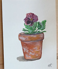 Original Art violet plant Watercolor pot Painting illustration flower