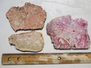1658 BRECCIATED JASPER AND DYED AGATE SLABS. PRETTY. EX OLD TIME ROCK SHOP - Picture 1 of 3