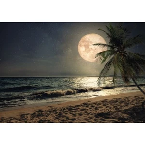 Fototapete-VLIES-STRAND PLANET-(C13999)-Tapete-Nach-Mass-Mond Palme Dune See XXL - Bild 1 von 8