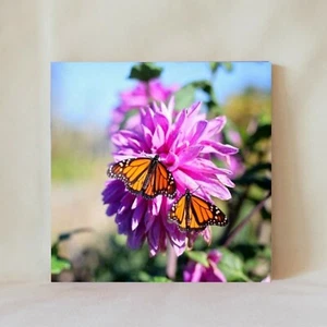 Dekorative Fliese 4" x 4" Untersetzer Monarch Schmetterling Dahlie lila Wildblumen - Bild 1 von 10