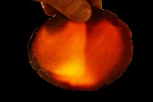 RARA lastra geode in agata anni 60 4" x 4" cavolo lapidario fetta grezza lastra di roccia - Foto 1 di 2