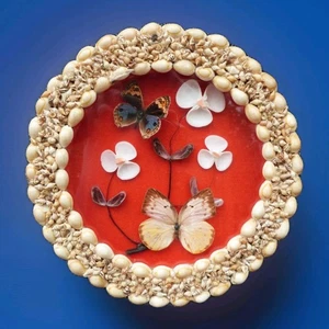 VINTAGE SHELL ART WALL DISPLAY BUTTERFLY DISPLAY GLASS SAILORS SWEETHEART STYLE - Picture 1 of 13