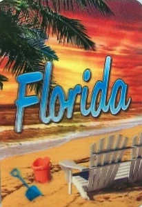 Imán de nevera 3D Florida the Sunshine State - Imagen 1 de 2