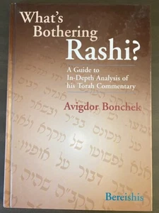 What's Bothering Rashi? - Bereshis von Avigdor Bonchek - Bild 1 von 2