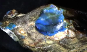 Charming Natural Dominican Translucent Green Blue Amber Rough Specimen 50mm 24g - Picture 1 of 9