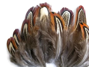 1 confezione - Piume piumaggio fagiano fagiano marrone naturale collo ad anello 0,10 once Artigianato - Foto 1 di 5
