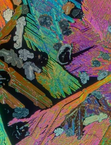Microscope slide for polarized light NIACIN and CAFFEINE - Picture 1 of 4