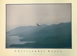 The Seagull by Christopher Boyce (61cm x 46cm, Colour Photography) - Picture 1 of 1