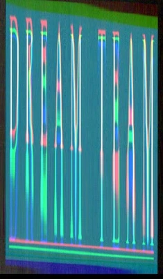 Jose Bautista 2012 Panini Triple Play #229 Blue Jays MLB LEER ENVÍO GRATUITO Foto 1 de 2