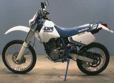 VÁLVULA DE ESCAPE SUZUKI DR250S DR250SL DR250SHEM SJ44A 12912-15D01 SALIDA ESCAPE YO Foto 1 de 4