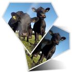 2x Diamond Shape Vinyl Stickers Black Aberdeen Angus Cattle Cows Bull #50266