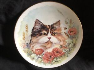 Royal Worcester Bone China Plate - Tortoiseshell Cat from 1991. Approx 20cms di