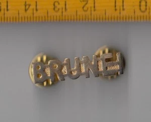  Brunei Darussalam Logo pin badge  - Picture 1 of 1
