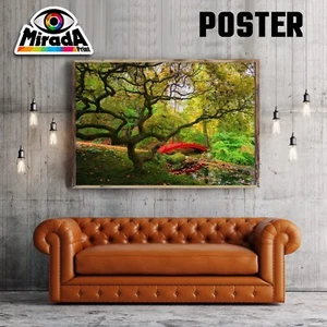 Poster Herbst Bäume Farben Autumn Natur Papier Kamera 35x50 50x70 70x100 - Bild 1 von 1