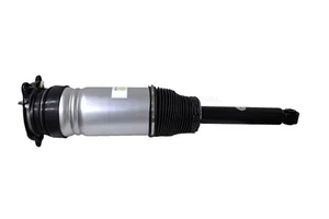 106746626B REAR AXLE LEFT LH AIR SUSPENSION SPRING STRUT FOR TESLA MODEL S - Picture 1 of 6