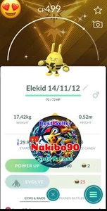 Pokémon Go - Shiny Elekid Spark Accessory Background Team Instinct - Trade - Picture 1 of 1