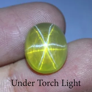 12.85 Ct 13.8x11.3 MM Yellow Star Sapphire 6 Rays Lab Corundum VDO YS9945 - Picture 1 of 5