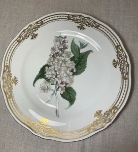 Andrea Sadek Golden Botanical Thomas Curtis London Plate 10 1/2" floral gold VTG - Picture 1 of 5