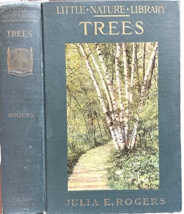 Little Nature Library TREES Worth Knowing J Rogers 1922 48 Illustrations/16 CLR - Picture 1 of 24