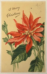 Antique A Merry Christmas Postcard Chrysanthemum Flower Posted 1909 Embossed - Picture 1 of 3