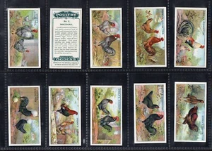 Tabakkarten Zigarettenkarten Set Geflügelrasse Veritäten 1915 von Ogden`s - Bild 1 von 3