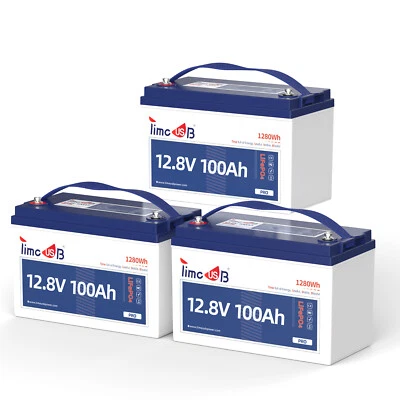 1/3/4 Pack Timeusb 12V 100Ah Pro LiFePO4 Lithium Battery Deep Cycle for Solar RV