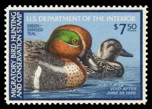 RW46 — 1979 Green-winged teal, XF-Superb 95 NH, PSE Certificate - Picture 1 of 2