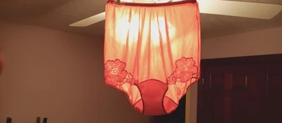 VANITY FAIR VINTAGE NYLON PANTY sz 6 PAPAYA RED FLOWER ON LEGS P TAB EMB #VF1A04 - Image 1 of 4