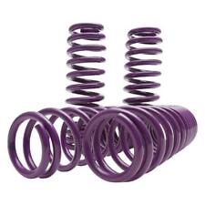 D2 Racing Lowering Springs for 2011-20 Chrysler 300C / Dodge Charger Rwd