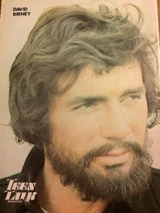 David Birney, ganzseitiges Vintage Pinup - Bild 1 von 1