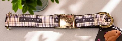 Dog Collar 15" - 22" neck size.  Silver Or Gold Metal Buckle - Image 1 of 3