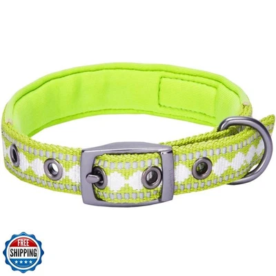 蓝莓宠物反光提花狗项圈带氯丁橡胶衬垫和金属  — 第 1/4 张图片