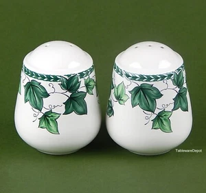 Nancy Calhoun, VISTA VERDE: Set of Salt & Pepper Shakers, SUPERB+ Condition! - Picture 1 of 3