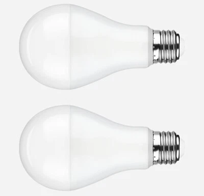A21 LED Light Bulbs 80W Equivalent E26 Base 12W 1000LM Daylight 5000K 2-Pack - Image 1 of 4
