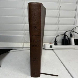 prägnante Studienbibel englische Standardversion 2001 nie gelesen - Bild 1 von 9