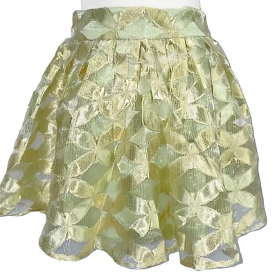 New LoveRiche Embroidered Sheer Overlay Full Mini Skirt Metallic Lime Size Large - Image 1 of 4