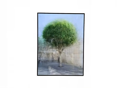 Foto de Pep Ventosa Lumas "Castro Seven" 2010 edição limitada 72/100 arte certificada 11x8 - Imagem 1 de 2