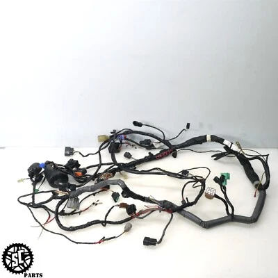 06-11 ARNÉS DE CABLEADO PRINCIPAL KAWASAKI NINJA ZX14 Foto 1 de 4