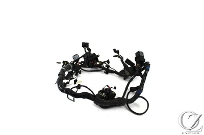 Arnés de cable principal Triumph Rocket 3 III 05 telar Foto 1 de 4