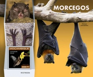 Mozambique - 2019 Bats on Stamps - Stamp Souvenir Sheet - MOZ190222b - Picture 1 of 1