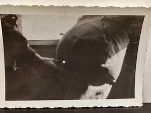 FOTO DE LA SEGUNDA GUERRA MUNDIAL Original US GI’s Bromeando “Hot Pants” A Fellow GI - Bélgica 1945 - Imagen 1 de 4