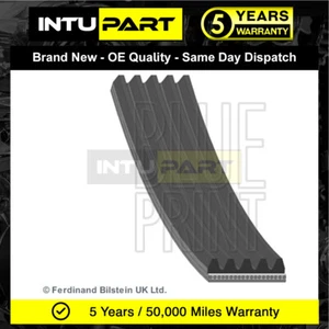 Fits Suzuki Swift 2005- SX4 2006- 1.3 1.5 1.6 IntuPart Alternator Belt - Picture 1 of 2