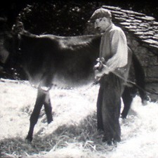 Film 16: Les Grands Causses