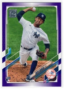 2021 Topps Deivi Garcia Meijer Purple Rookie SP - Picture 1 of 2