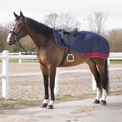 Equi-Théme TYREX 1200D wasserdichte Nierendecke - marineblau/bordeauxrot* - Bild 1 von 4