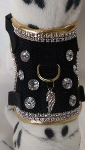 Vajilla blanda talla M, chihuahua, negro oro brillante tela de malla, arnés de pecho - Imagen 1 de 5